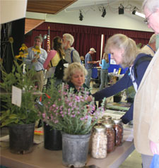 GoodEarth Plantscapes table.