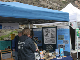 The Marine Mammal Center had a popular booth.